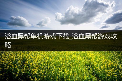 浴血黑帮单机游戏下载_浴血黑帮游戏攻略