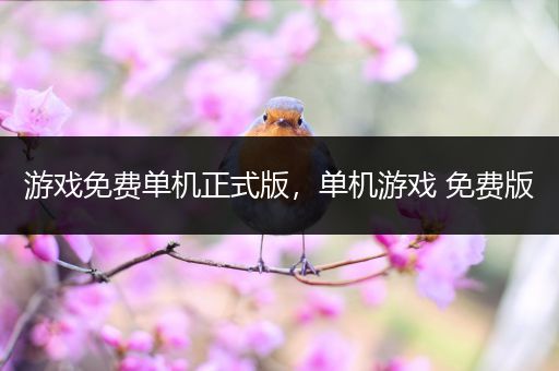 游戏免费单机正式版，单机游戏 免费版