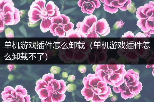 单机游戏插件怎么卸载（单机游戏插件怎么卸载不了）