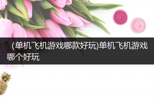 （单机飞机游戏哪款好玩)单机飞机游戏哪个好玩