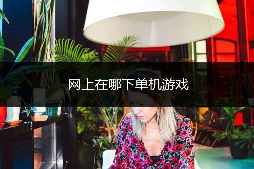 网上在哪下单机游戏