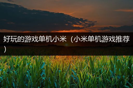 好玩的游戏单机小米（小米单机游戏推荐）