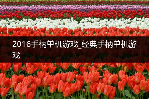 2016手柄单机游戏_经典手柄单机游戏