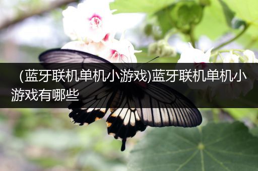（蓝牙联机单机小游戏)蓝牙联机单机小游戏有哪些