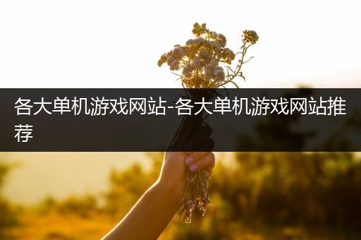 各大单机游戏网站-各大单机游戏网站推荐