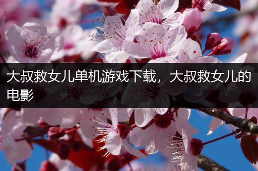 大叔救女儿单机游戏下载，大叔救女儿的电影