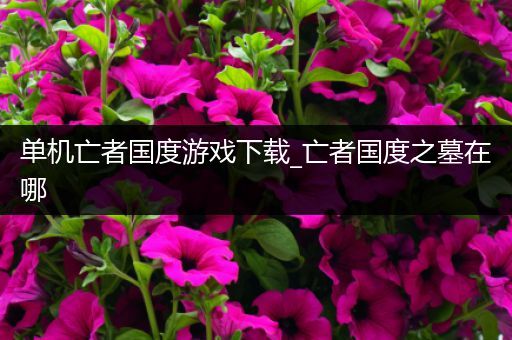 单机亡者国度游戏下载_亡者国度之墓在哪