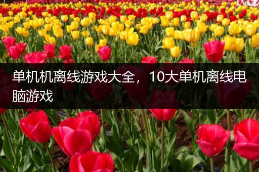 单机机离线游戏大全，10大单机离线电脑游戏