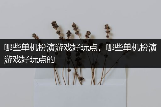 哪些单机扮演游戏好玩点，哪些单机扮演游戏好玩点的
