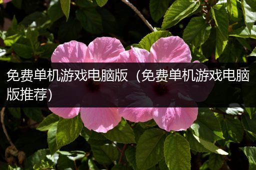 免费单机游戏电脑版（免费单机游戏电脑版推荐）