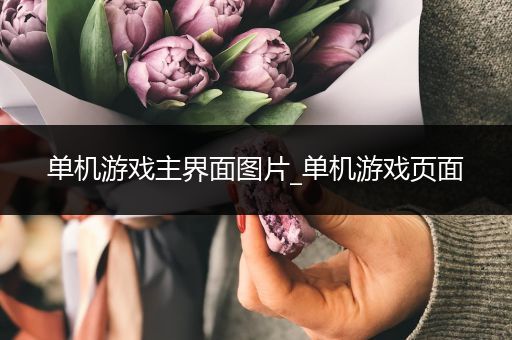 单机游戏主界面图片_单机游戏页面