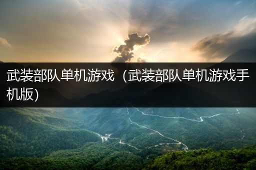 武装部队单机游戏（武装部队单机游戏手机版）