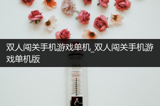 双人闯关手机游戏单机_双人闯关手机游戏单机版