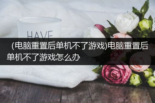 （电脑重置后单机不了游戏)电脑重置后单机不了游戏怎么办