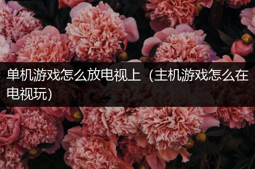 单机游戏怎么放电视上（主机游戏怎么在电视玩）
