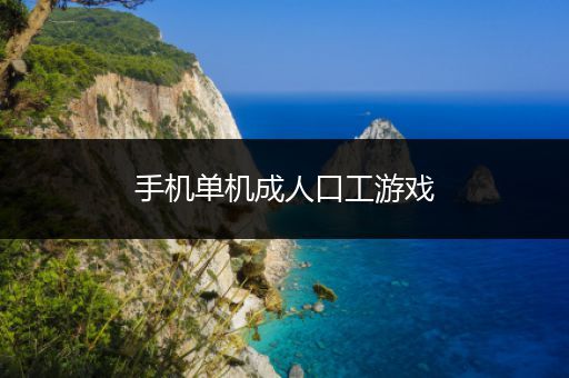 手机单机成人口工游戏