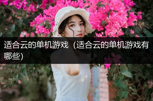 适合云的单机游戏（适合云的单机游戏有哪些）
