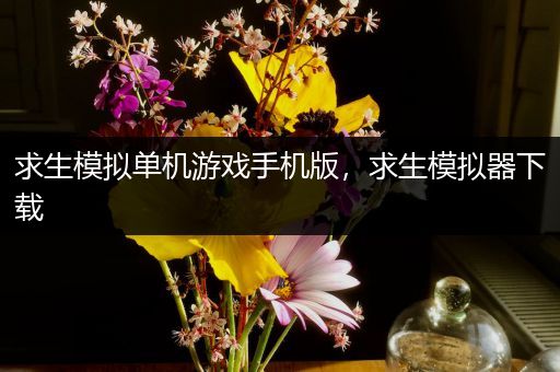 求生模拟单机游戏手机版，求生模拟器下载