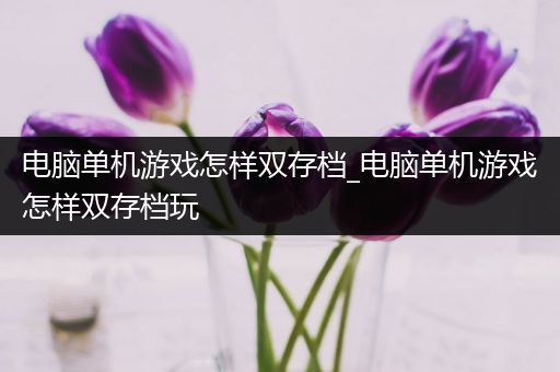 电脑单机游戏怎样双存档_电脑单机游戏怎样双存档玩