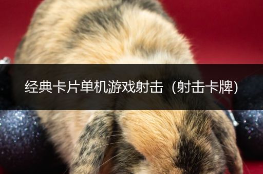经典卡片单机游戏射击（射击卡牌）