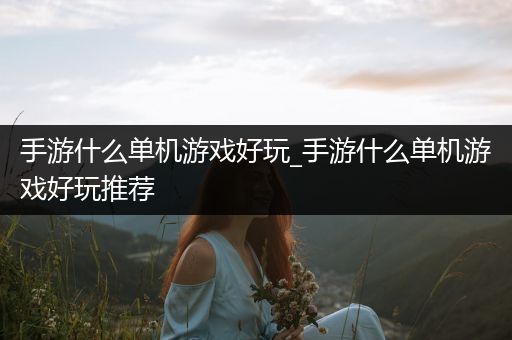 手游什么单机游戏好玩_手游什么单机游戏好玩推荐