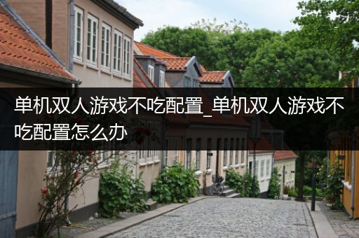 单机双人游戏不吃配置_单机双人游戏不吃配置怎么办