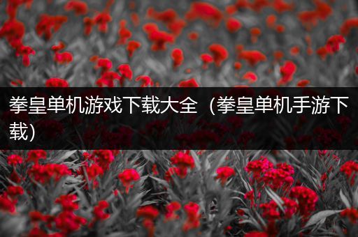 拳皇单机游戏下载大全（拳皇单机手游下载）