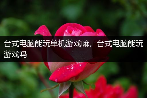 台式电脑能玩单机游戏嘛，台式电脑能玩游戏吗