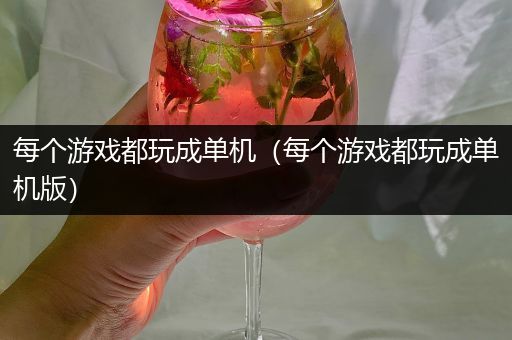 每个游戏都玩成单机（每个游戏都玩成单机版）