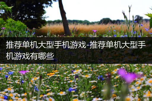 推荐单机大型手机游戏-推荐单机大型手机游戏有哪些