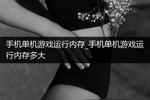 手机单机游戏运行内存_手机单机游戏运行内存多大
