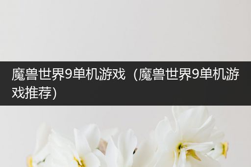 魔兽世界9单机游戏（魔兽世界9单机游戏推荐）