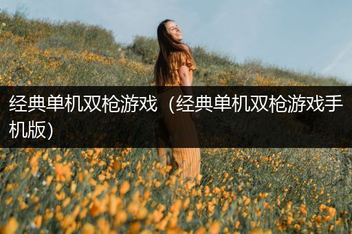 经典单机双枪游戏（经典单机双枪游戏手机版）