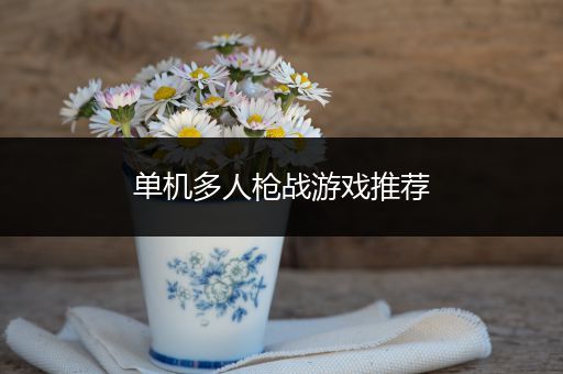 单机多人枪战游戏推荐