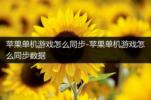 苹果单机游戏怎么同步-苹果单机游戏怎么同步数据