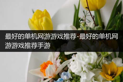 最好的单机网游游戏推荐-最好的单机网游游戏推荐手游