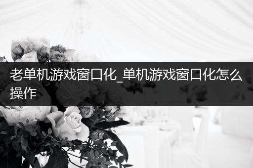 老单机游戏窗口化_单机游戏窗口化怎么操作