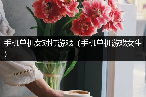 手机单机女对打游戏（手机单机游戏女生）