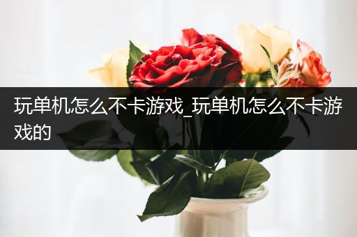 玩单机怎么不卡游戏_玩单机怎么不卡游戏的