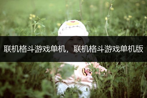 联机格斗游戏单机，联机格斗游戏单机版