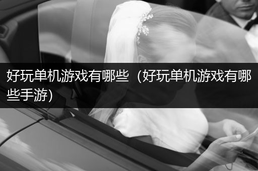 好玩单机游戏有哪些（好玩单机游戏有哪些手游）
