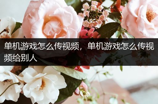 单机游戏怎么传视频，单机游戏怎么传视频给别人