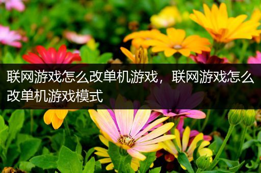 联网游戏怎么改单机游戏，联网游戏怎么改单机游戏模式