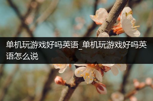 单机玩游戏好吗英语_单机玩游戏好吗英语怎么说