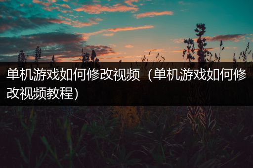 单机游戏如何修改视频（单机游戏如何修改视频教程）