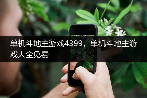 单机斗地主游戏4399，单机斗地主游戏大全免费