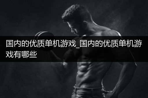 国内的优质单机游戏_国内的优质单机游戏有哪些