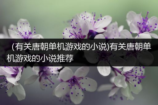 （有关唐朝单机游戏的小说)有关唐朝单机游戏的小说推荐