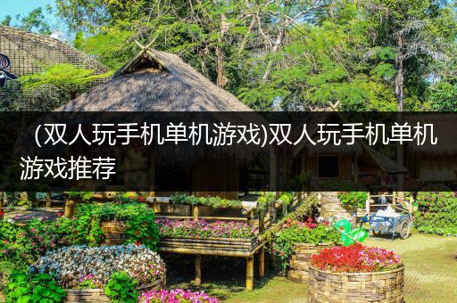 （双人玩手机单机游戏)双人玩手机单机游戏推荐