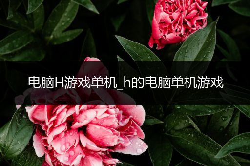电脑H游戏单机_h的电脑单机游戏